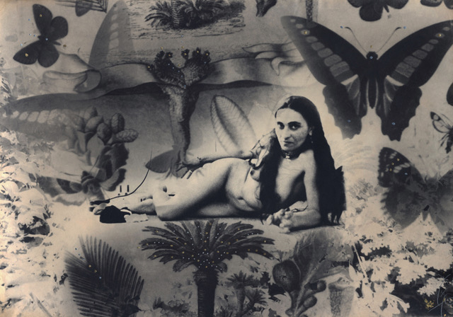 ~ Potpourri: Bulgaria